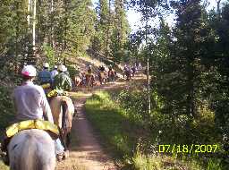 On the Ten Thousand Ft. Elevation Contour Road near Beaubien Camp